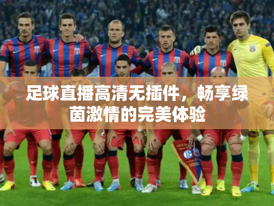 足球直播高清无插件，畅享绿茵激情的完美体验