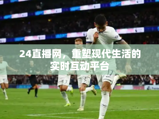 24直播网，重塑现代生活的实时互动平台