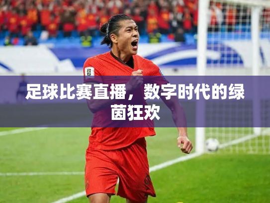 足球比赛直播，数字时代的绿茵狂欢