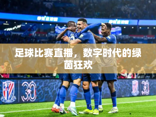 足球比赛直播，数字时代的绿茵狂欢