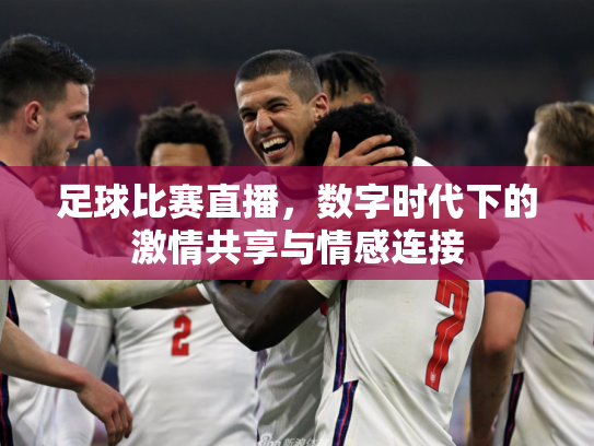 足球比赛直播，数字时代下的激情共享与情感连接
