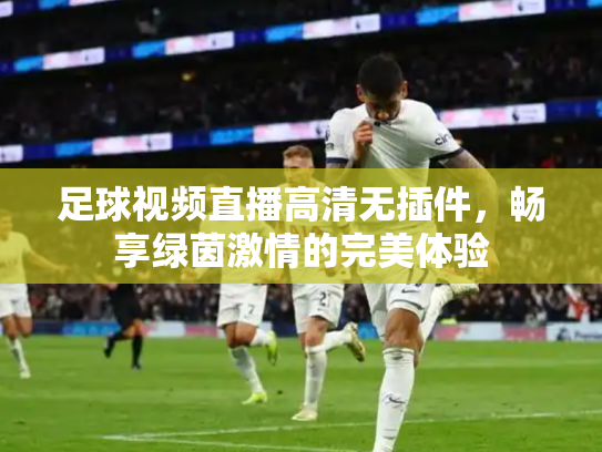 足球视频直播高清无插件，畅享绿茵激情的完美体验
