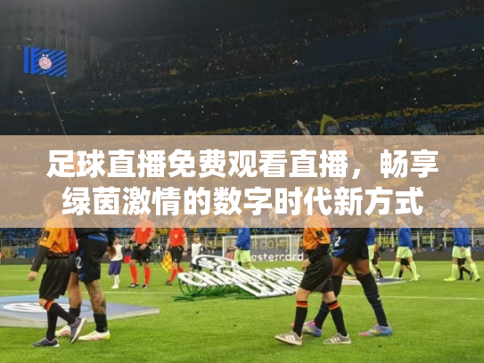 足球直播免费观看直播，畅享绿茵激情的数字时代新方式