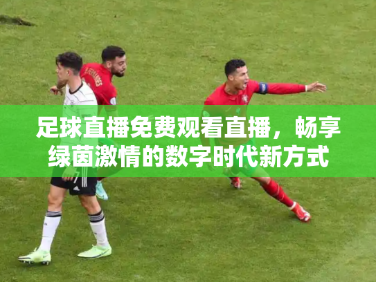 足球直播免费观看直播，畅享绿茵激情的数字时代新方式