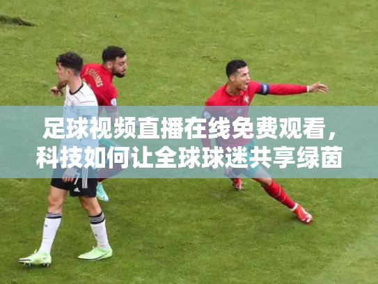 足球视频直播在线免费观看，科技如何让全球球迷共享绿茵激情