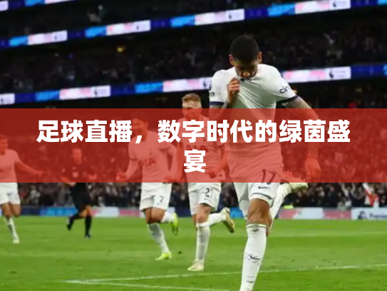 足球直播，数字时代的绿茵盛宴