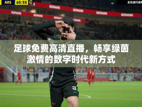 足球免费高清直播，畅享绿茵激情的数字时代新方式