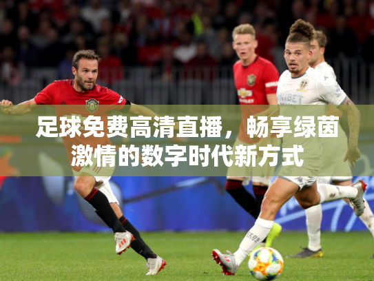 足球免费高清直播，畅享绿茵激情的数字时代新方式