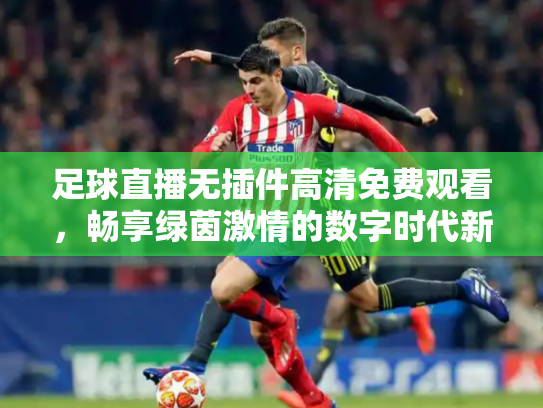 足球直播无插件高清免费观看，畅享绿茵激情的数字时代新方式