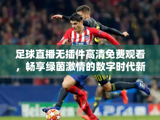 足球直播无插件高清免费观看，畅享绿茵激情的数字时代新方式