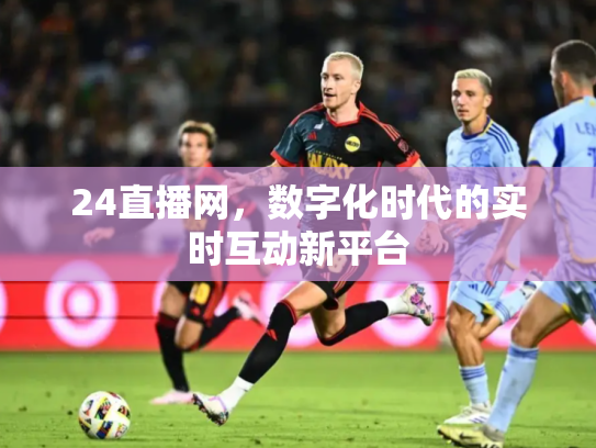 24直播网，数字化时代的实时互动新平台