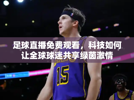 足球直播免费观看，科技如何让全球球迷共享绿茵激情