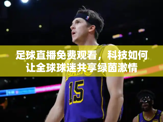 足球直播免费观看，科技如何让全球球迷共享绿茵激情