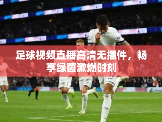 足球视频直播高清无插件，畅享绿茵激燃时刻