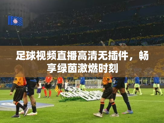 足球视频直播高清无插件，畅享绿茵激燃时刻