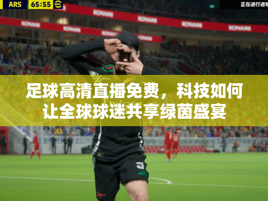 足球高清直播免费，科技如何让全球球迷共享绿茵盛宴