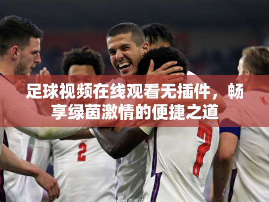 足球视频在线观看无插件，畅享绿茵激情的便捷之道