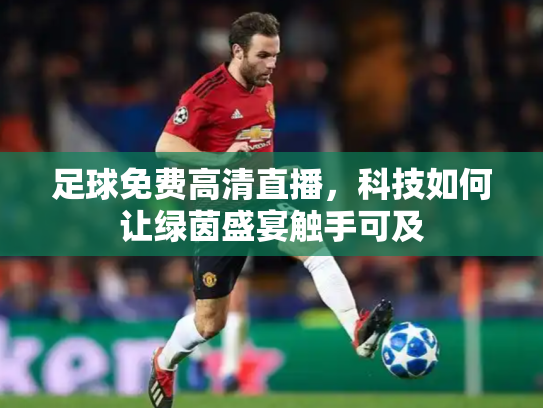 足球免费高清直播，科技如何让绿茵盛宴触手可及