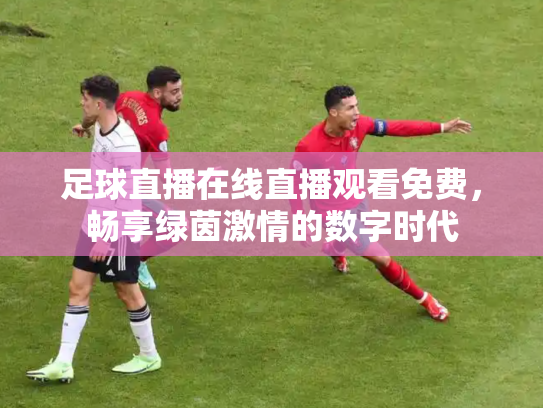 足球直播在线直播观看免费，畅享绿茵激情的数字时代