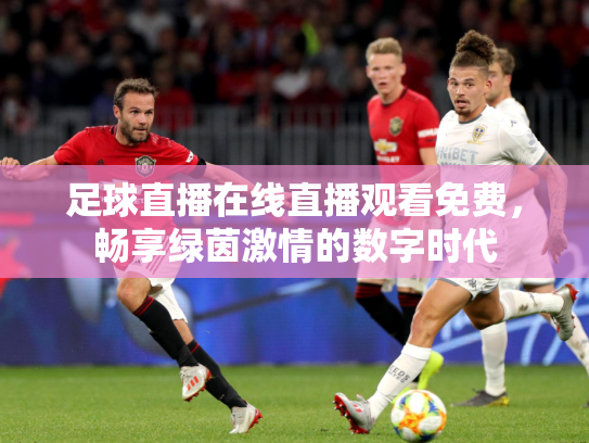 足球直播在线直播观看免费，畅享绿茵激情的数字时代