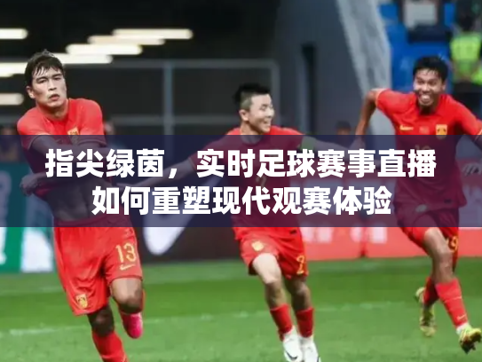 指尖绿茵，实时足球赛事直播如何重塑现代观赛体验