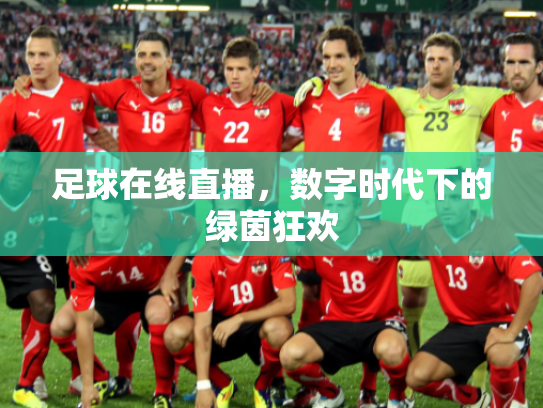 足球在线直播，数字时代下的绿茵狂欢