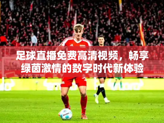 足球直播免费高清视频，畅享绿茵激情的数字时代新体验