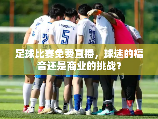足球比赛免费直播，球迷的福音还是商业的挑战？