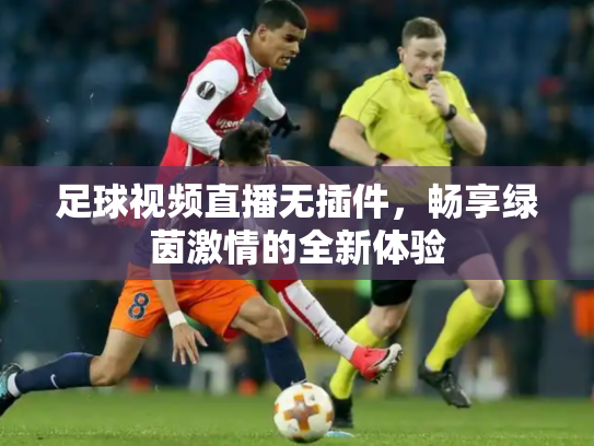足球视频直播无插件，畅享绿茵激情的全新体验