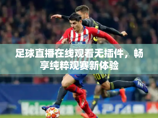 足球直播在线观看无插件，畅享纯粹观赛新体验