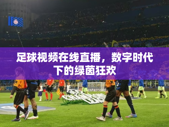 足球视频在线直播，数字时代下的绿茵狂欢