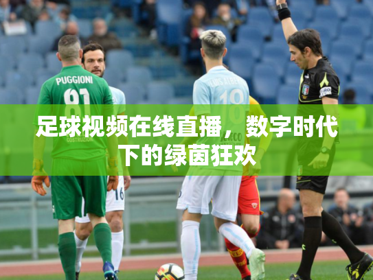 足球视频在线直播，数字时代下的绿茵狂欢