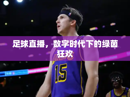 足球直播，数字时代下的绿茵狂欢
