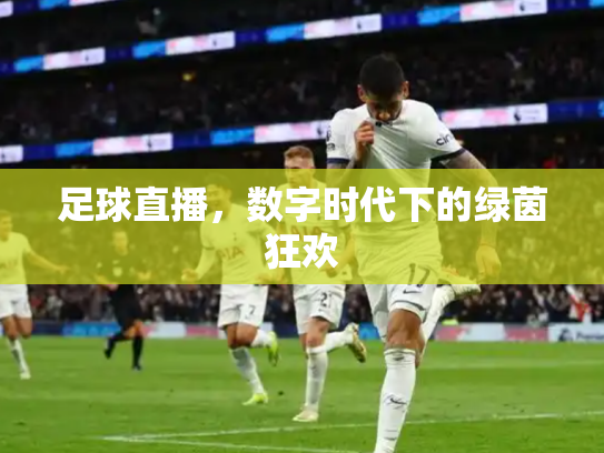 足球直播，数字时代下的绿茵狂欢