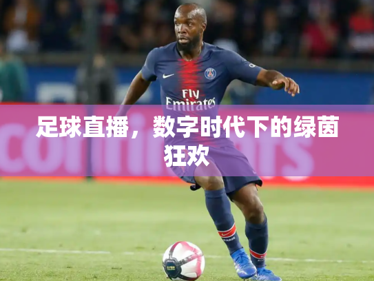 足球直播，数字时代下的绿茵狂欢