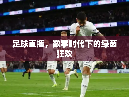 足球直播，数字时代下的绿茵狂欢