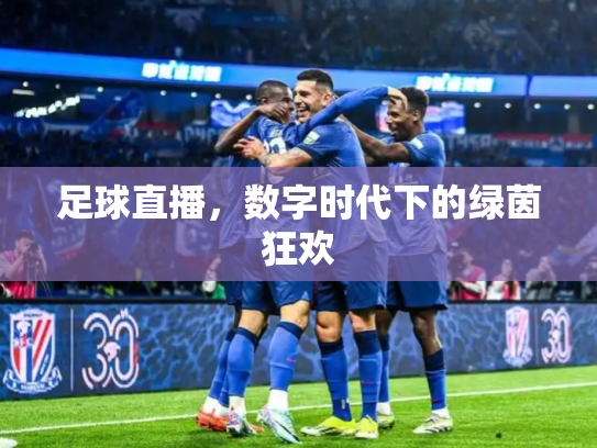 足球直播，数字时代下的绿茵狂欢