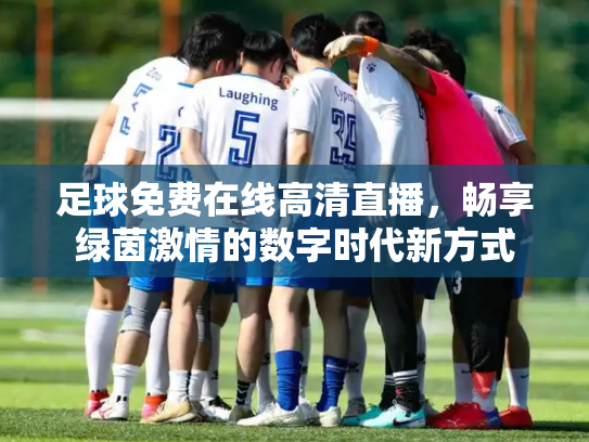 足球免费在线高清直播，畅享绿茵激情的数字时代新方式