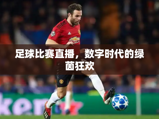 足球比赛直播，数字时代的绿茵狂欢