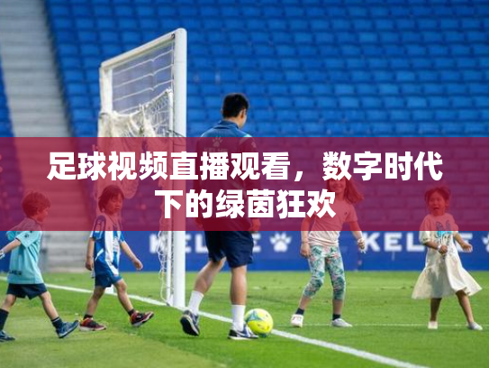 足球视频直播观看，数字时代下的绿茵狂欢