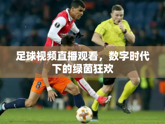 足球视频直播观看，数字时代下的绿茵狂欢