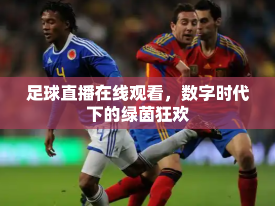 足球直播在线观看，数字时代下的绿茵狂欢