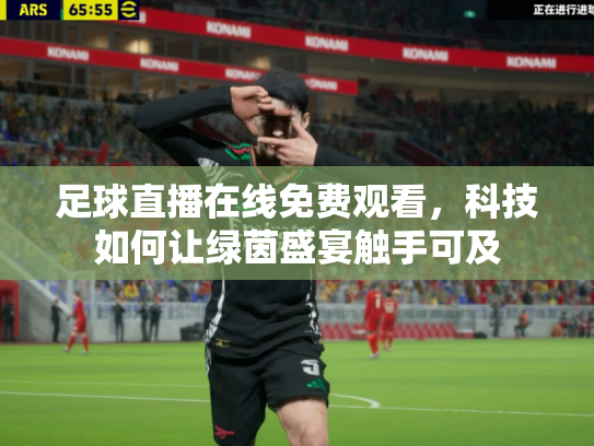 足球直播在线免费观看，科技如何让绿茵盛宴触手可及
