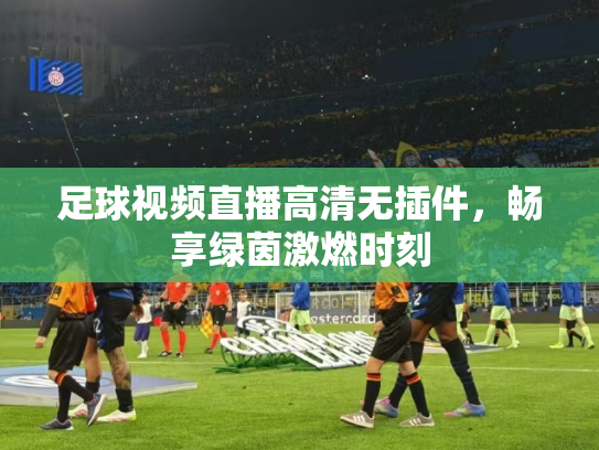 足球视频直播高清无插件，畅享绿茵激燃时刻