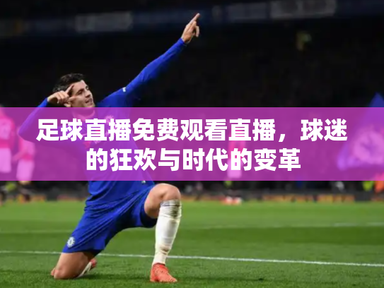 足球直播免费观看直播，球迷的狂欢与时代的变革
