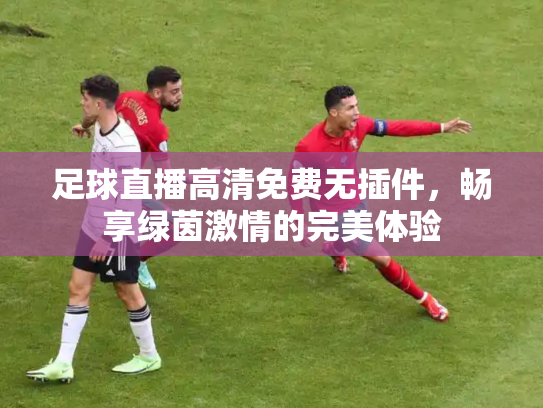足球直播高清免费无插件，畅享绿茵激情的完美体验
