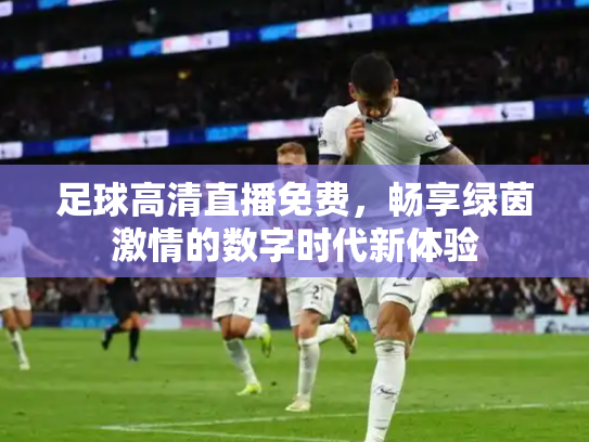 足球高清直播免费，畅享绿茵激情的数字时代新体验