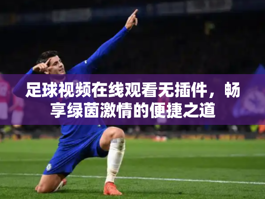 足球视频在线观看无插件，畅享绿茵激情的便捷之道