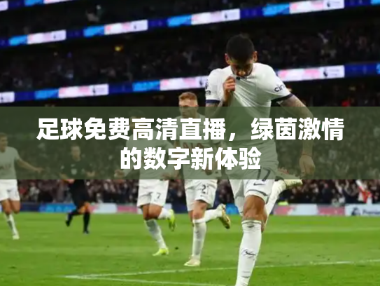 足球免费高清直播，绿茵激情的数字新体验