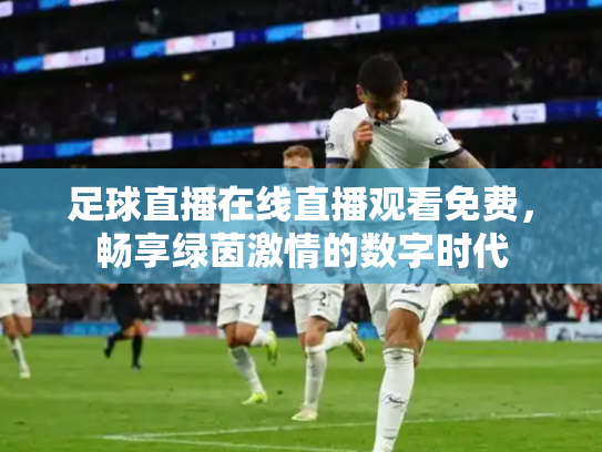 足球直播在线直播观看免费，畅享绿茵激情的数字时代